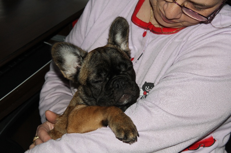 Hello angie de molosse Land