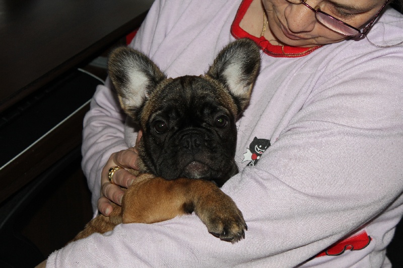 Hello angie de molosse Land