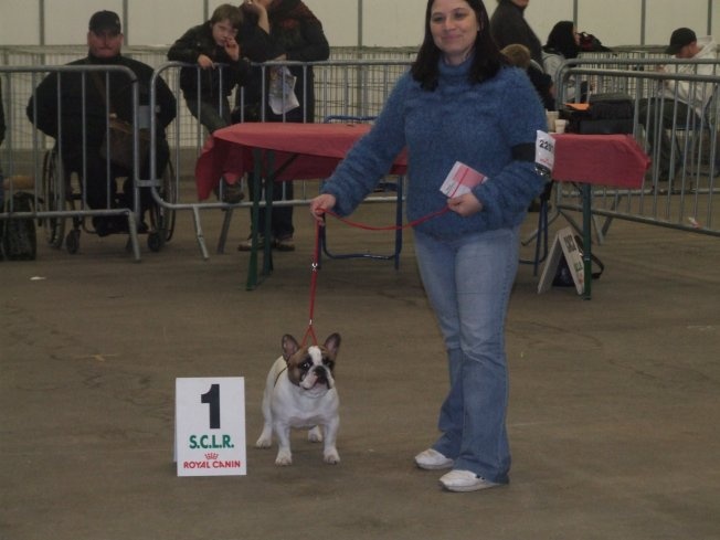 Cosac du Vallon de Beaumont - 1er Excellent en jeune