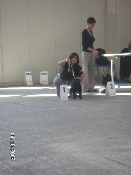 Diane du Vallon de Beaumont - 1er Excellent en jeune