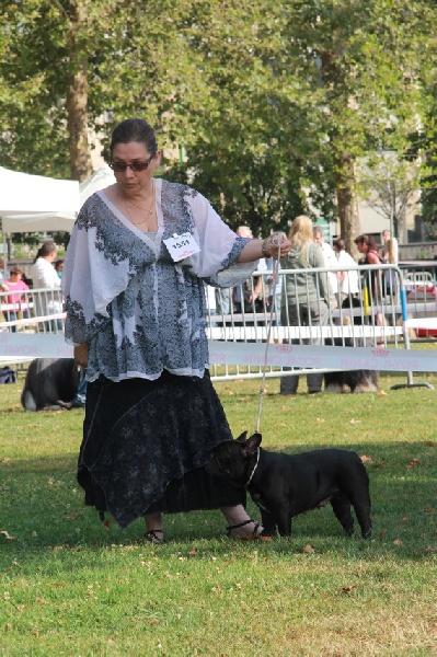 Diane du Vallon de Beaumont - 3ème excellent en ouverte