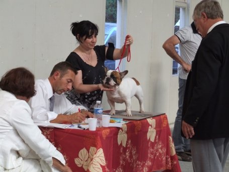 Cosac du Vallon de Beaumont - Excellent classe ouverte