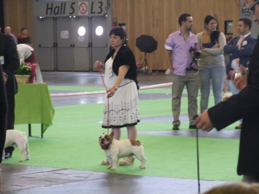 Cosac du Vallon de Beaumont - très bon non classé en ouverte