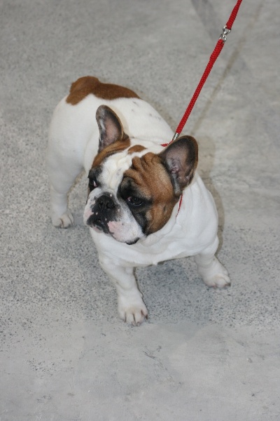 Cosac du Vallon de Beaumont - 2eme excellent classe ouverte