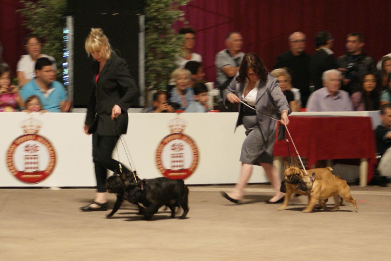 Garet dit zeus de molosse Land - 4 ème