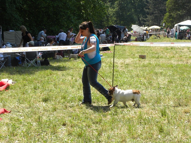 Cosac du Vallon de Beaumont - excellent non classé classe ouverte
