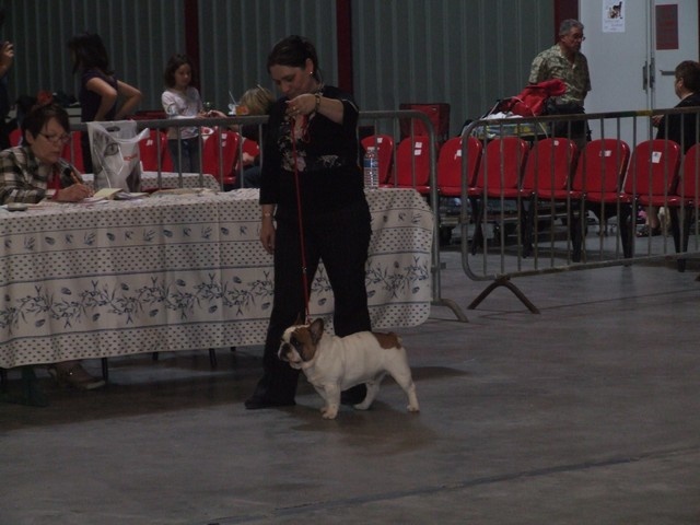 Cosac du Vallon de Beaumont - excellent non classé en ouverte