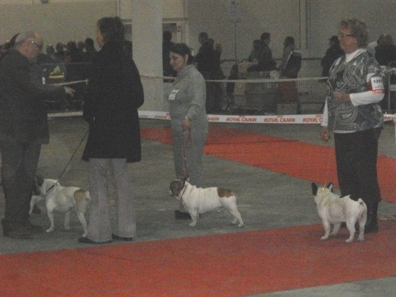 Cosac du Vallon de Beaumont - 2éme excellent classe ouverte