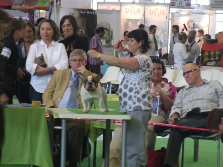 Cosac du Vallon de Beaumont - très bon non classé en ouverte