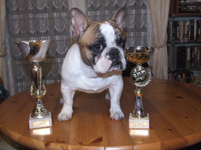 Cosac du Vallon de Beaumont - 1er excellent, Meilleur jeune