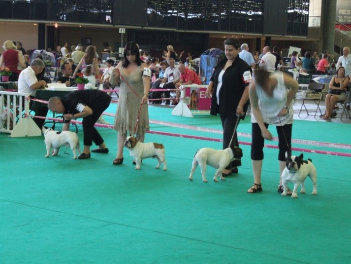 Cosac du Vallon de Beaumont - excellent non classé classe ouverte