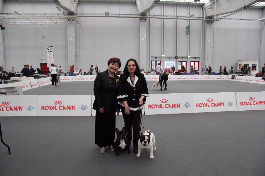 CH. Little diane de molosse Land - 1er Excellent R.CAC - R.CACIB classe ouverte