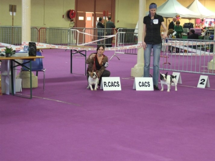 Cosac du Vallon de Beaumont - 1er excellent RCACS classe ouverte