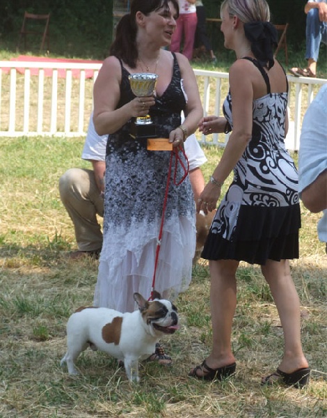 Cosac du Vallon de Beaumont - 3ème MEILLEUR PUPPY, trés Prometteur