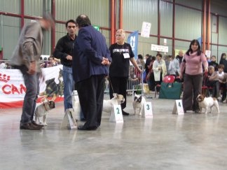 Cosac du Vallon de Beaumont - 4ème Excellent classe ouverte