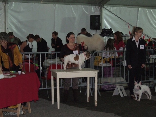 Cosac du Vallon de Beaumont - très bon non classé en classe ouverte