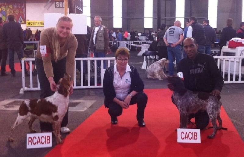 Adoree de rozenn brug - 1er EXC CACS CACIB