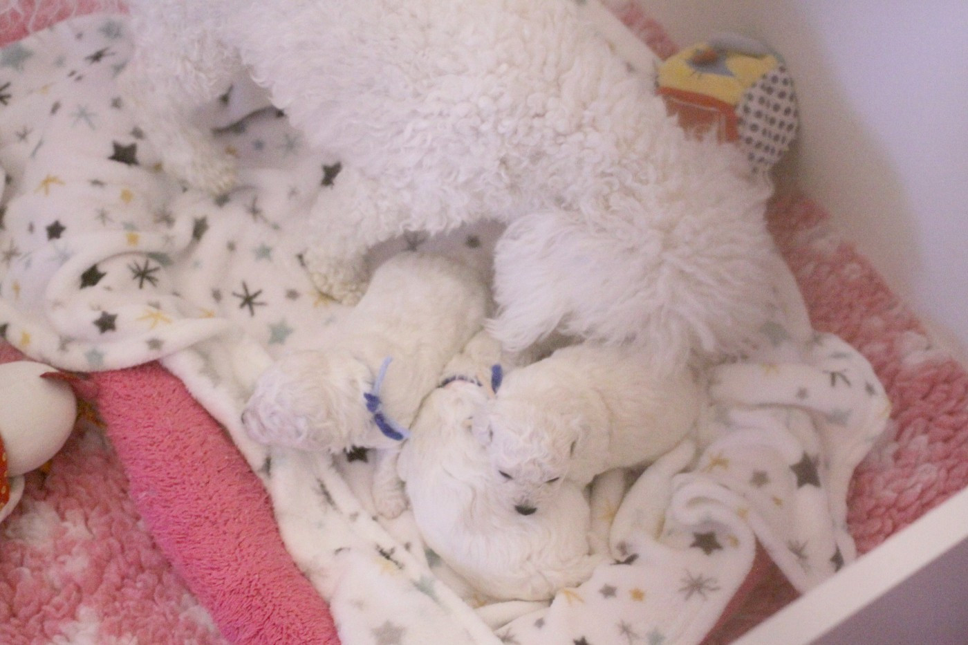 Akin (Réservé pour Mme Parent -Dép.25)