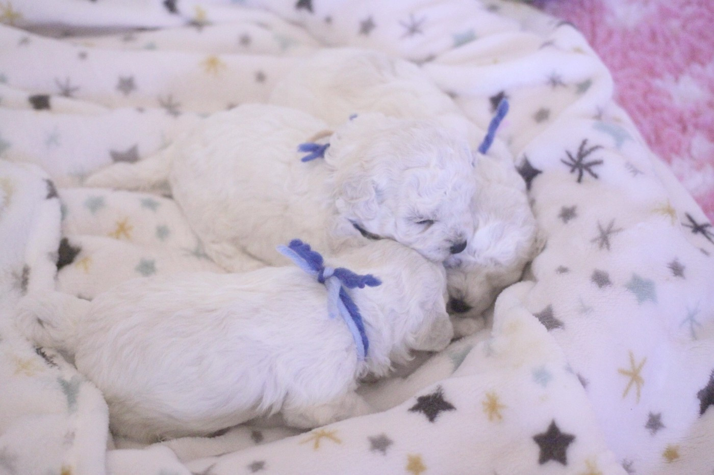 Akin (Réservé pour Mme Parent -Dép.25)