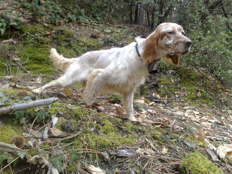 Publication : du mas des Vernets Auteur : GAUNE JOCELYN