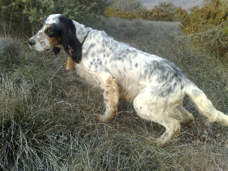 Publication : du mas des Vernets Auteur : Mr GAUNE JOCELYN