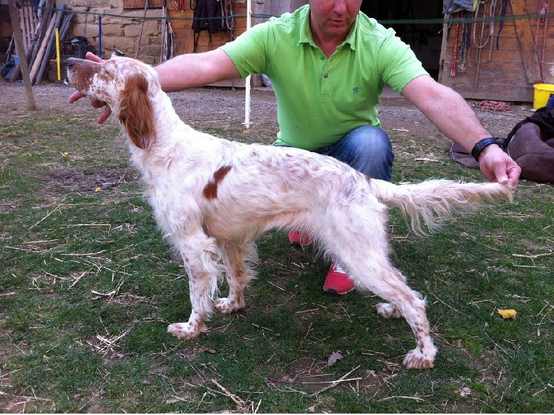 Publication : du mas des Vernets Auteur : GAUNE JOCELYN