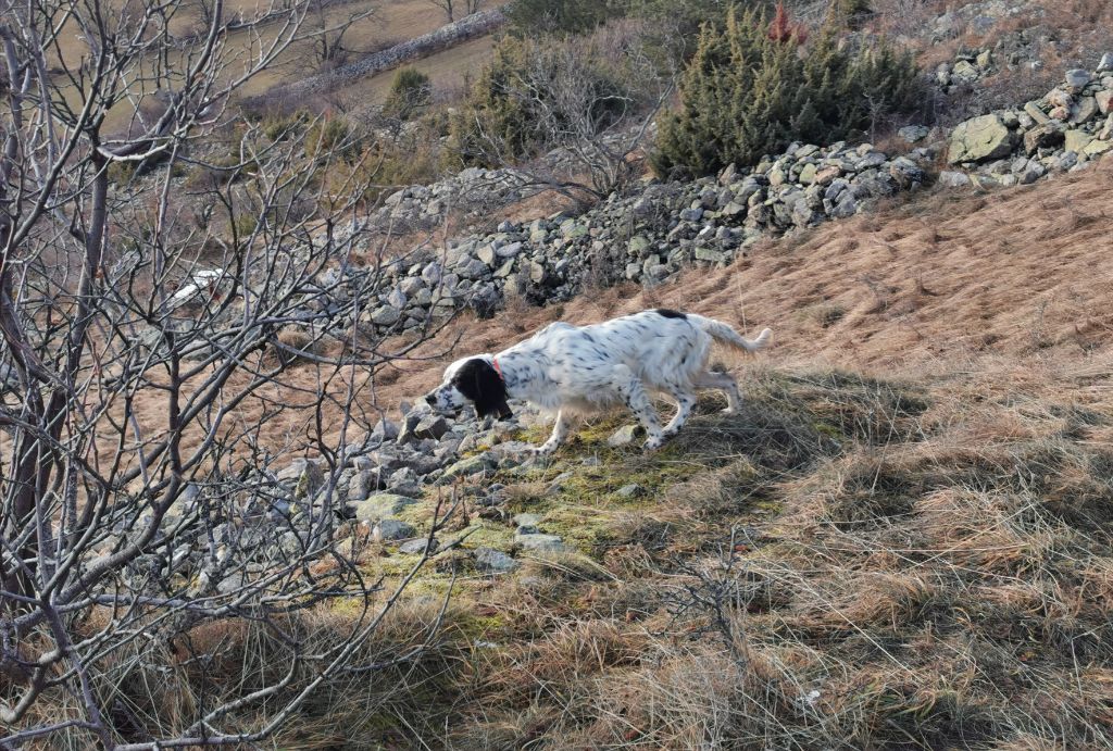 Publication : du mas du zouave Auteur : Lafont Johan