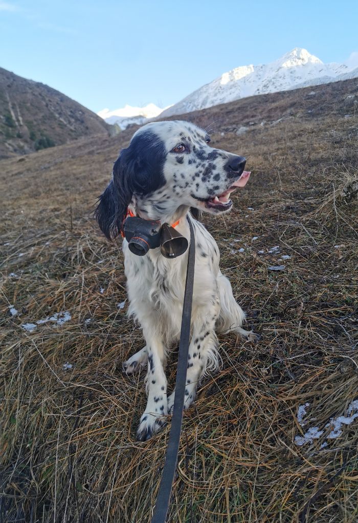Publication : du mas du zouave Auteur : Lafont Johan