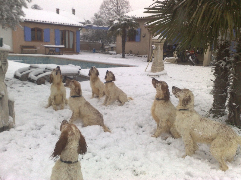 Publication : du mas des Vernets Auteur : GAUNE JOCELYN