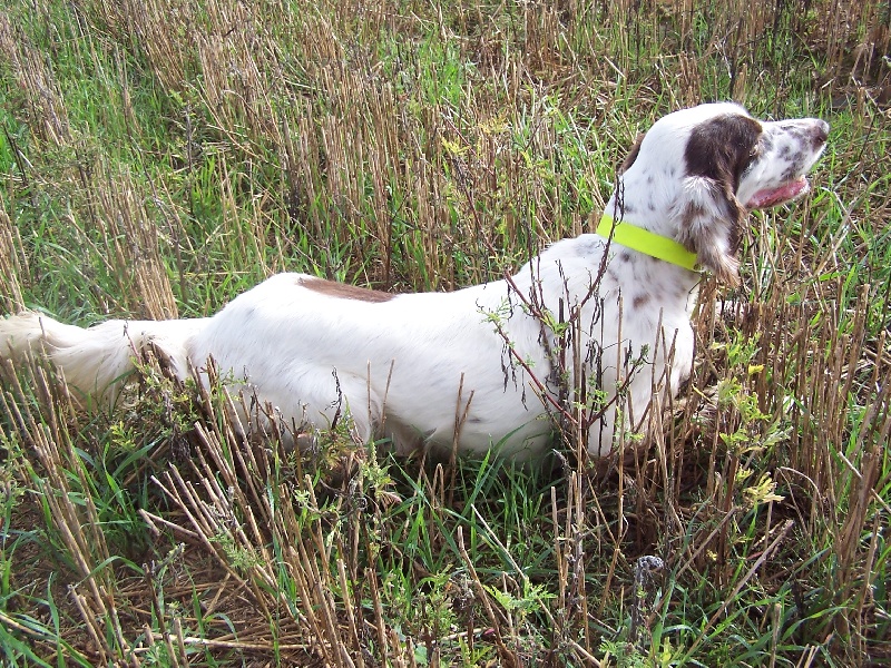 Publication : du mas des Vernets Auteur : GAUNE JOCELYN