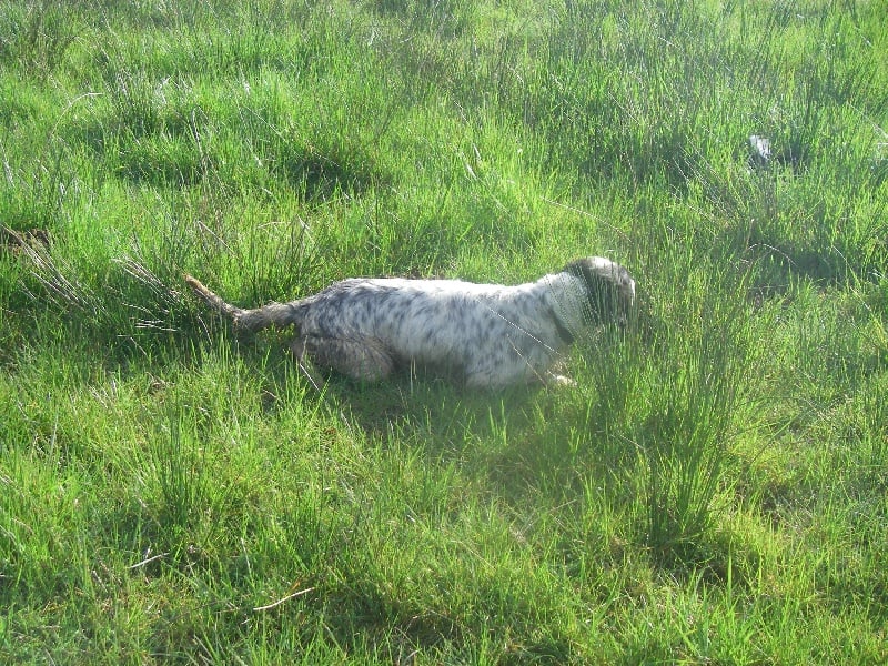 Publication : du mas des Vernets Auteur : Mr GAUNE JOCELYN