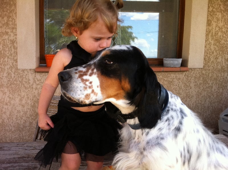 Publication : du mas des Vernets Auteur : Mr GAUNE JOCELYN