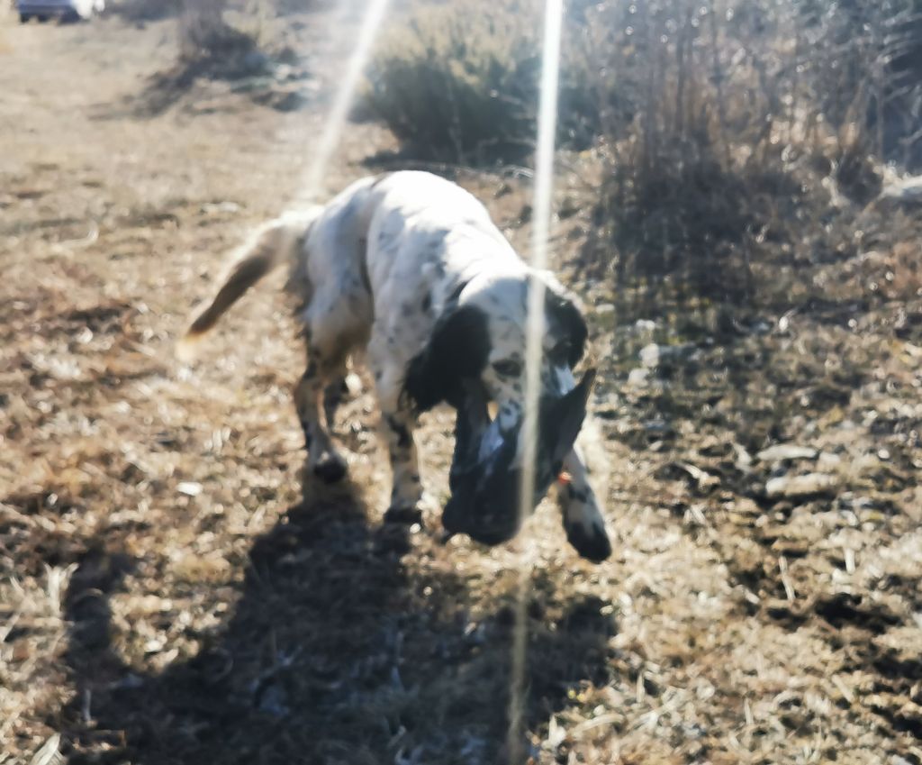 Publication : du mas du zouave Auteur : Lafont Johan