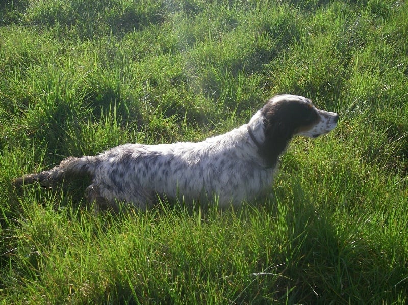 Publication : du mas des Vernets Auteur : Mr GAUNE JOCELYN