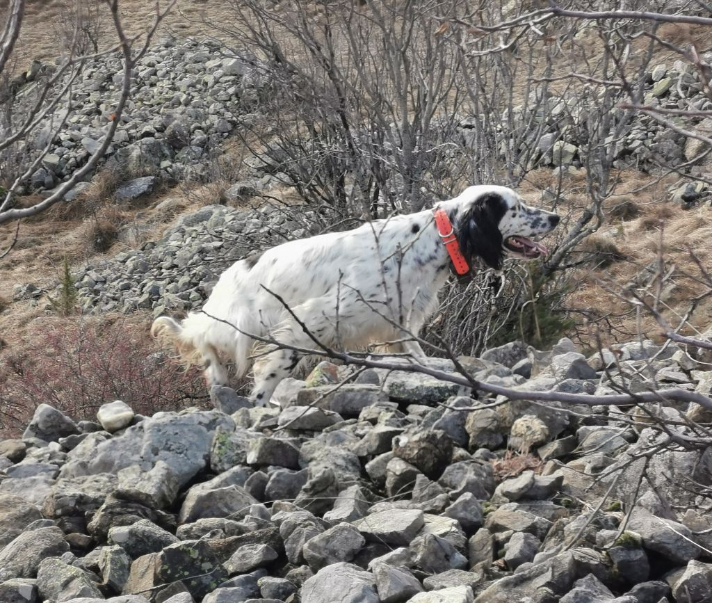 Publication : du mas du zouave Auteur : Lafont Johan