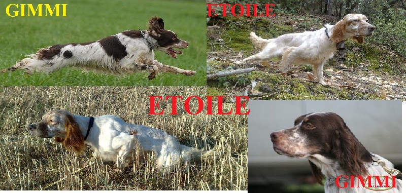 Publication : du mas des Vernets Auteur : GAUNE JOCELYN