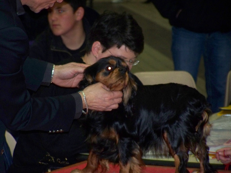 Baccara des Epinouses - 1er EXC RCACS