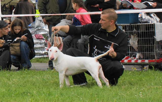 Eden stars de l'Empire du Bull - 4eme EXCELLENT