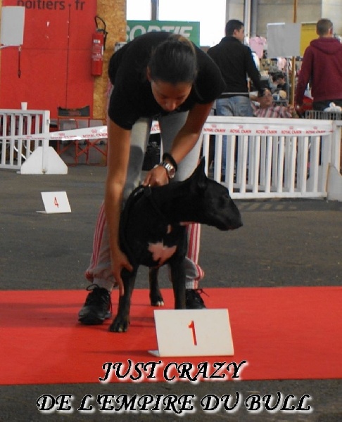 Just crazy de l'Empire du Bull - 1er TRES PROMETTEUR MEILLEUR PUPPY