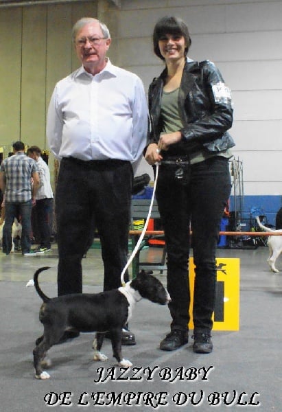 Jazzy baby de l'Empire du Bull - BEST BABY DU JOUR