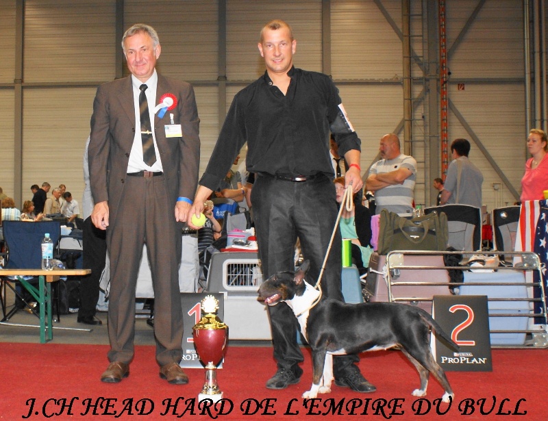 CH. Head hard de l'Empire du Bull - 1er excellent CAC meilleur jeune meilleur de race