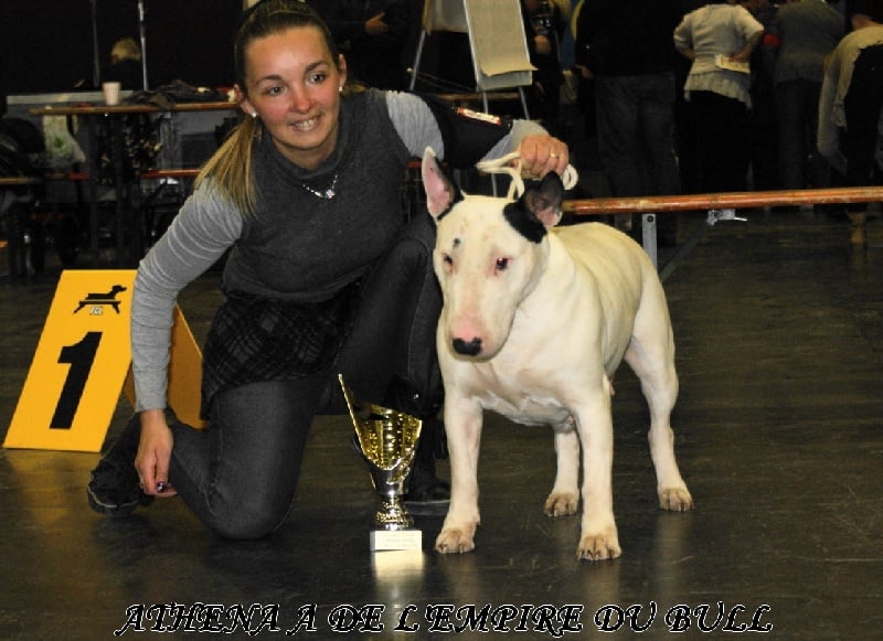 CH. Athena a de l'empire du bull (Sans Affixe) - 1er excellent champion des veteran