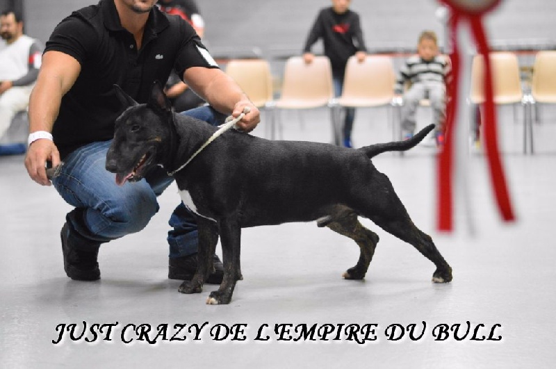 Just crazy de l'Empire du Bull - 1er excellent