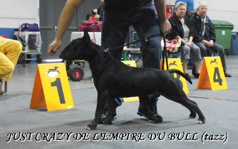 Just crazy de l'Empire du Bull - PROMETTEUR
