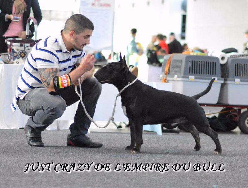 Just crazy de l'Empire du Bull - 4eme Excellent