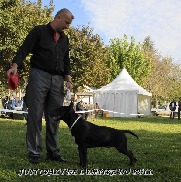 Just crazy de l'Empire du Bull - 1er TRES PROMETTEUR