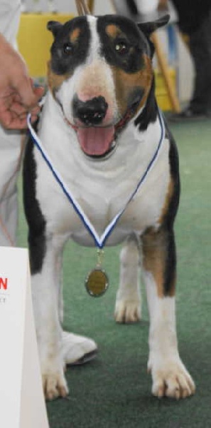 Chopper de l'empire du bull (Sans Affixe) - 3 eme EXCELLENT