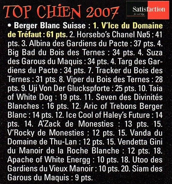 Albina des Gardiens du Pacte - 3e MEILLEUR BERGER BLANC SUISSE