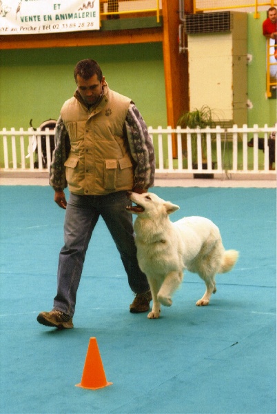Albina des Gardiens du Pacte - 153,5/200 - Qualificatif TRES BON