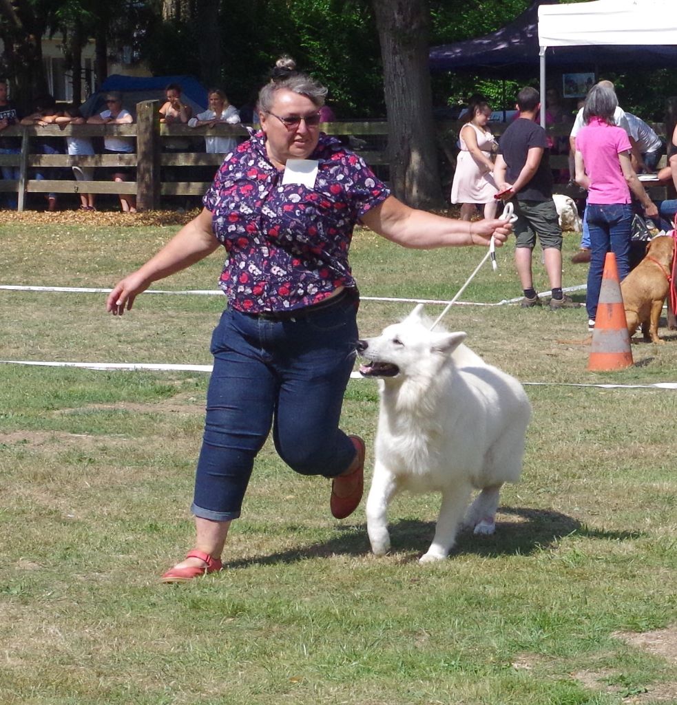 Drakar du paradis boupi - 1er EXCELLENT - MEILLEUR VETERAN